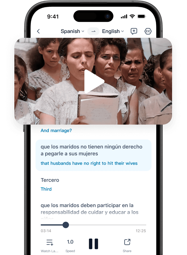 Video Translation